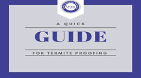 Essentials to Control Termites: A Quick Guide to Termite Proofing