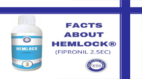 Facts You Do Not Know About Hemlock® (Fipronil 2.5EC)