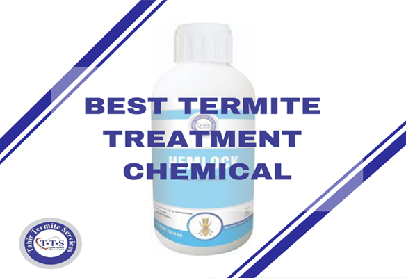 Best termite treatment chemical
