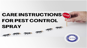 Care instructions while getting pest control spray in Lahore