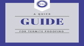 Essentials to control termite - A quick guide for termite proofing