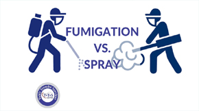 How fumigation is different from spray?