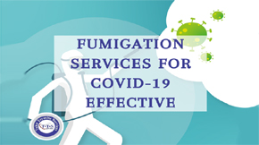 Do you think fumigation services for COVID-19 effective? What research says about it?
