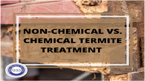 Non-Chemical vs Chemical termite treatment - which is best?
