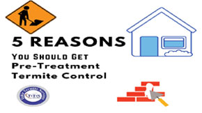 5 reasons you should get pre-treatment termite control
