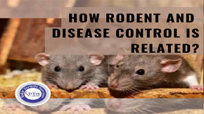 How rodent and disease control is related?