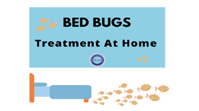 Tips for bed bugs treatment at home