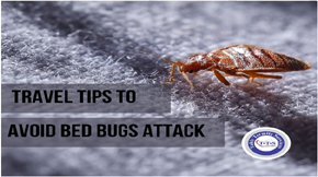 Travel tips to avoid bed bugs attack