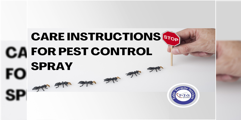 Care instructions for pest control spray in Lahore 