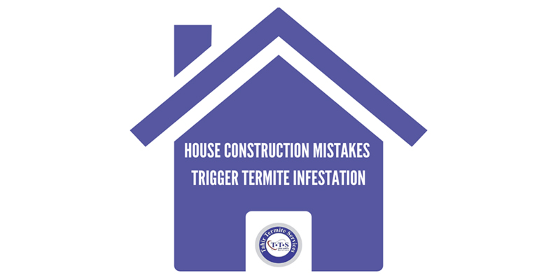 Construction Mistakes to avoid termite infestation