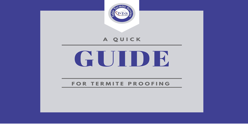 control termite, control termite Lahore, termite proofing 