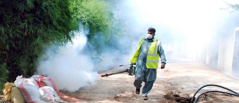 Dengue Spray