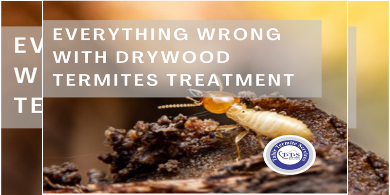 Everything wrong with drywood termites treatment