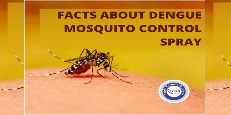 Facts about dengue mosquito control spray