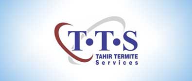 Tahir Termite Services