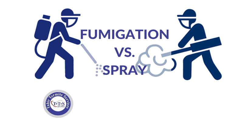 fumigation vs. spray: Everything to know