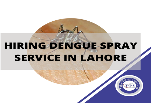 hiring Dengue spray Service in Lahore