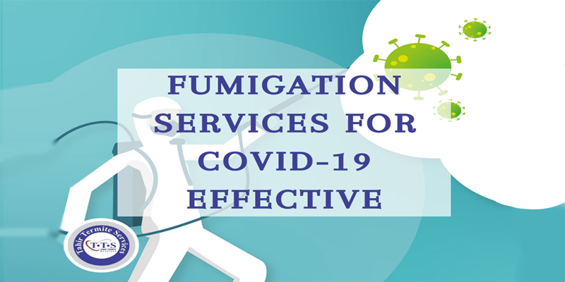 Is it good to take fumigation services for COVID? 