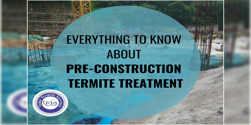 Know everything about pre-construction termite treatment