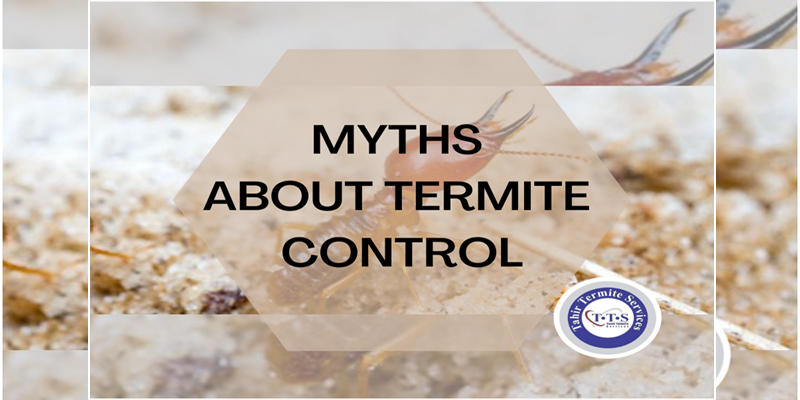 Myths about termite control