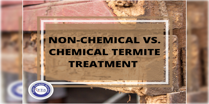 Non-Chemical vs Chemical termite treatment