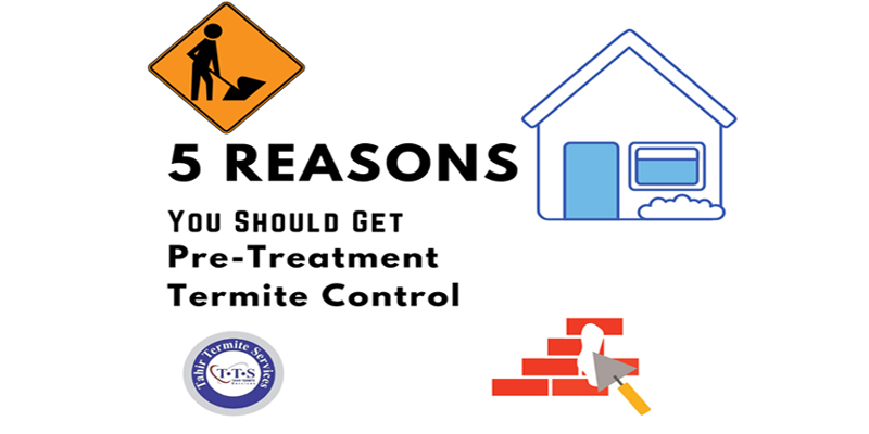 pre-treatment termite control, pre-construction termite treatment