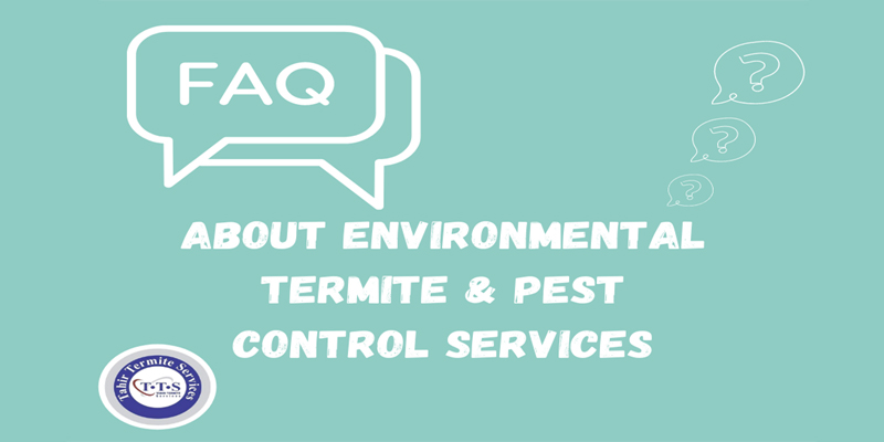questions about Environmental termite & pest control services